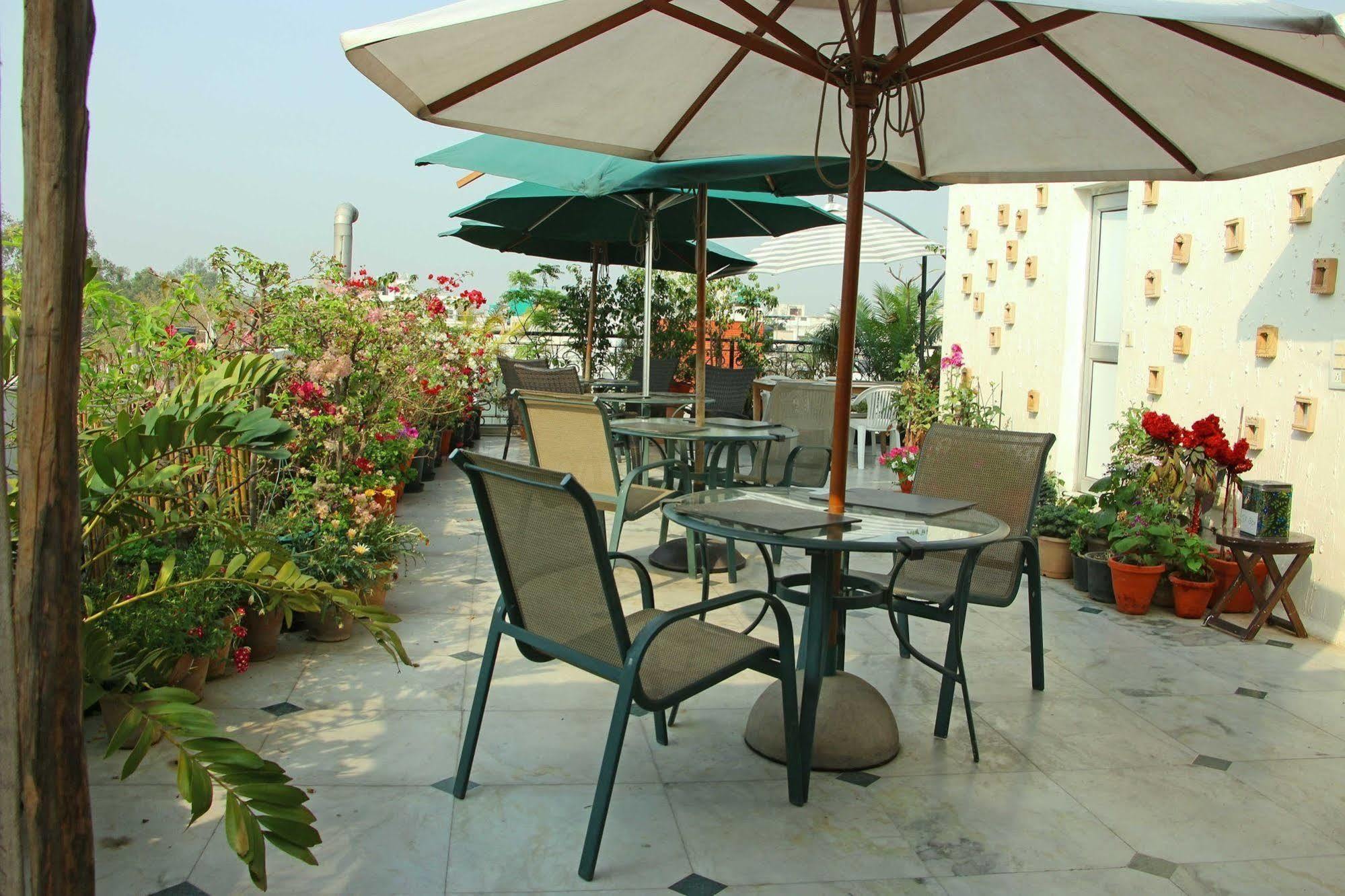 Colonel's Retreat Bed & Breakfast New Delhi